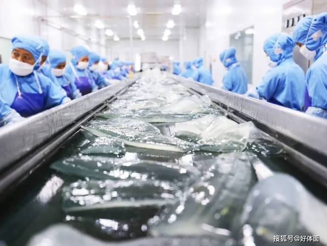 咱們就是蘆薈膠的"原產(chǎn)地"#好體面healthmate蘆薈護(hù)膚品#源頭工廠 不